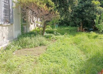 Foto 5 - Negozio Via Elia Lombardini
12, Milano - foto 5