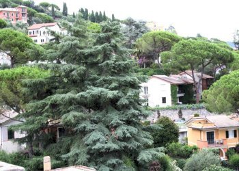 Vista - Apartment corso Nicolò Cuneo, 30e, Santa Margherita Ligure - photo 5