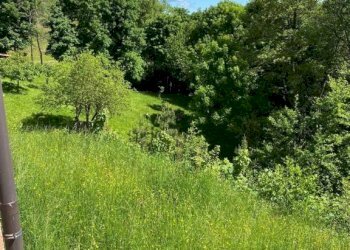 Terreno - Four-room apartment via dei Piani, Viola - photo 10