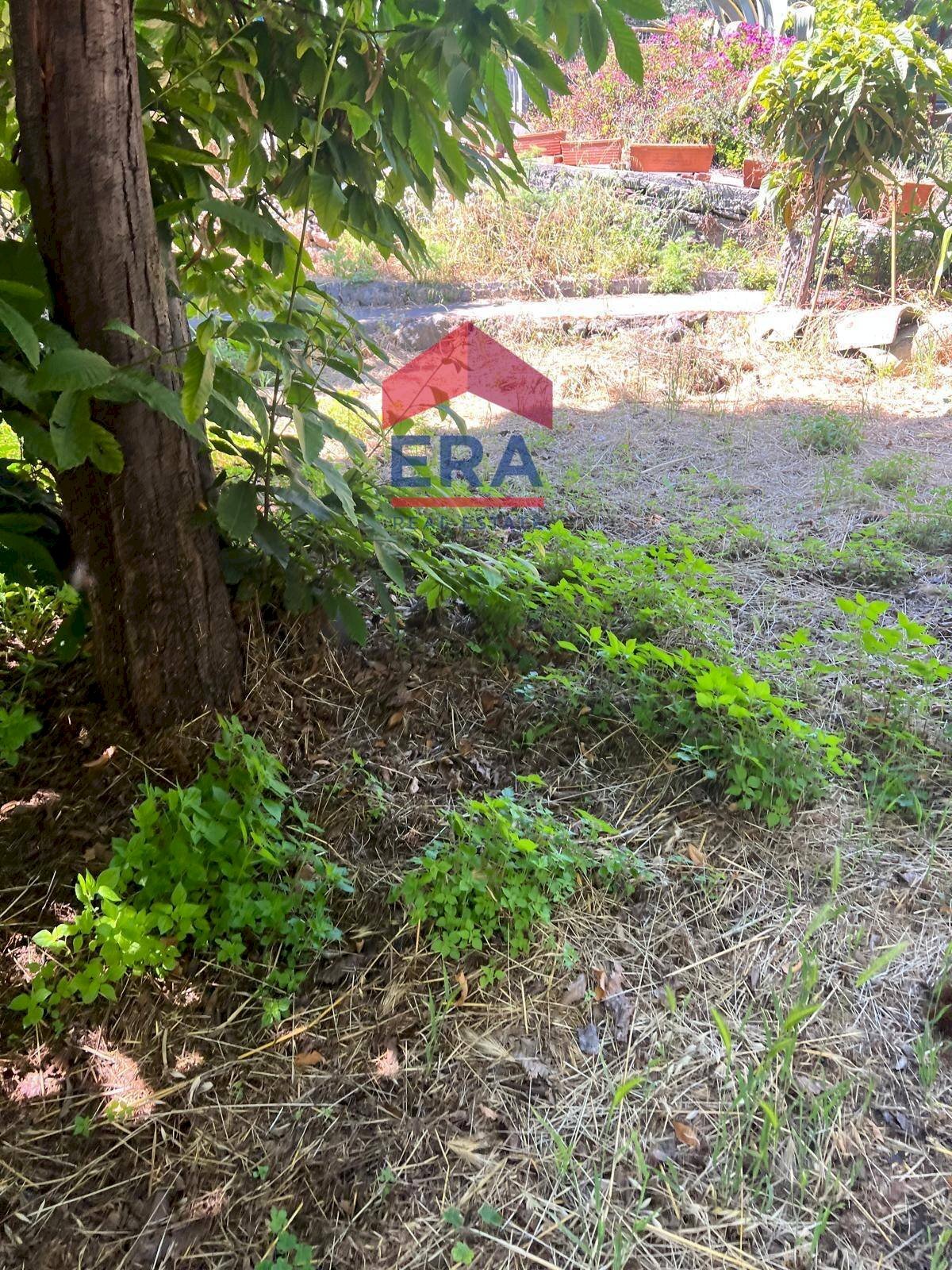 Foto 3 - Terreno agricolo Via Catira
 
27, San Giovanni la Punta - foto 3