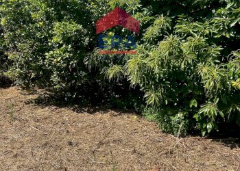 Foto 2 - Terreno agricolo Via Catira
 
27, San Giovanni la Punta - foto 2