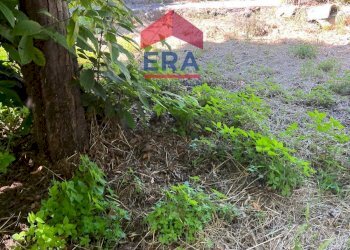 Foto 3 - Terreno agricolo Via Catira
 
27, San Giovanni la Punta - foto 3