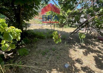 Foto 4 - Terreno agricolo Via Catira
 
27, San Giovanni la Punta - foto 4