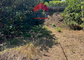 Foto 5 - Terreno agricolo Via Catira
 
27, San Giovanni la Punta - foto 5