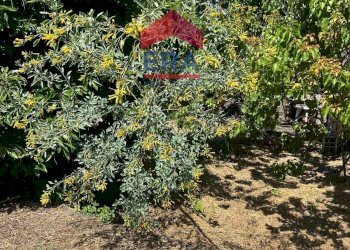 Foto 9 - Terreno agricolo Via Catira
 
27, San Giovanni la Punta - foto 9