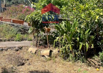 Foto 17 - Terreno agricolo Via Catira
 
27, San Giovanni la Punta - foto 17