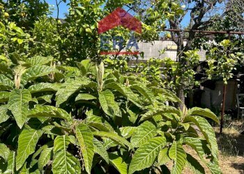 Foto 20 - Terreno agricolo Via Catira
 
27, San Giovanni la Punta - foto 20