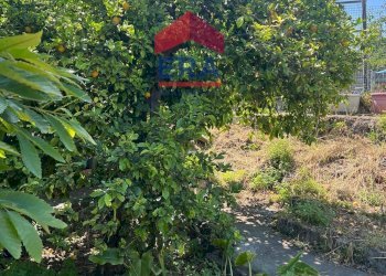 Foto 21 - Terreno agricolo Via Catira
 
27, San Giovanni la Punta - foto 21