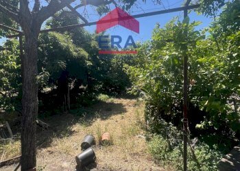 Foto 24 - Terreno agricolo Via Catira
 
27, San Giovanni la Punta - foto 24