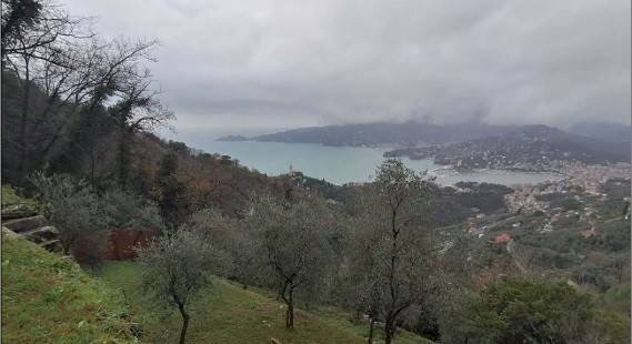 Vista - Villa all'asta Località Valletta, 1a, Zoagli - foto 2