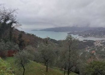 Vista - Villa all'asta Località Valletta, 1a, Zoagli - foto 2