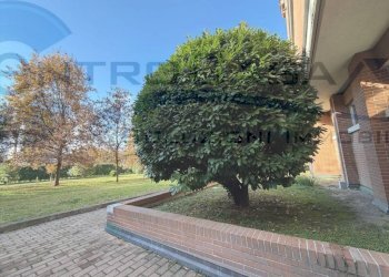 Giardino - Quadrilocale Bologna (zona Bolognina) - foto 35