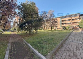 Giardino - Quadrilocale Bologna (zona Bolognina) - foto 36