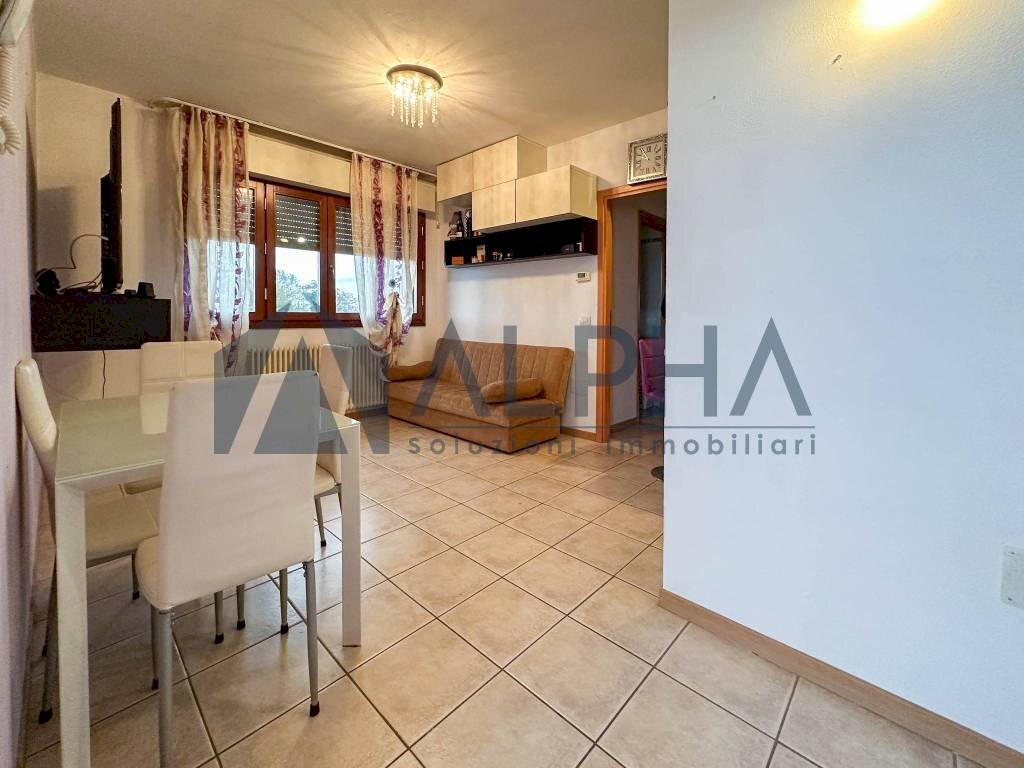 Salone - Three-room apartment via Alberto Pasini, Ravenna (neighborhood San Pietro in Vincoli) - photo 2