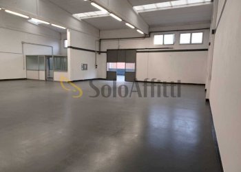 PHOTO-2025-11-26-20-26-06_2.jpg - Shed Faenza - photo 1