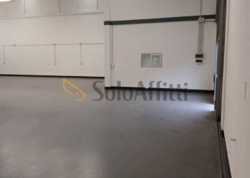 PHOTO-2025-11-26-20-26-05_1.jpg - Shed Faenza - photo 7