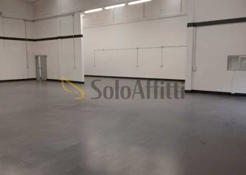 PHOTO-2025-11-26-20-26-05.jpg - Shed Faenza - photo 8