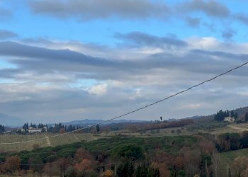 WhatsApp Image 2025-12-10 at 17.19.35(5).jpeg - Trilocale Via Canto alle Gracchie, Scandicci - foto 16