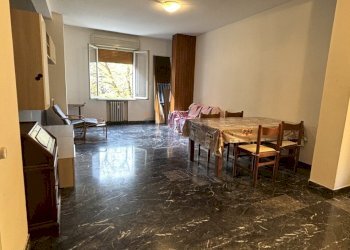 IMG_1541.jpeg - Appartamento Via E. Morselli 93, Modena - foto 2