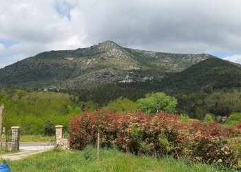 20160412_114907.jpg - Show room Giarinetto, Lucca - photo 3