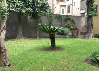 20160421_131523.jpg - Show room Giarinetto, Lucca - photo 6