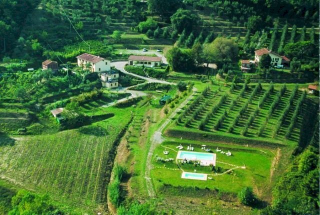 FOTO DALL\'ALTO 3.jpg - Rustico Via dei Pieroni, Capannori - foto 2