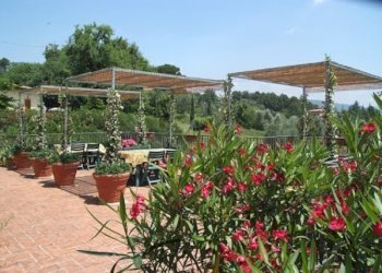 DSCF0795.jpg - Rustic Via dei Pieroni, Capannori - photo 6