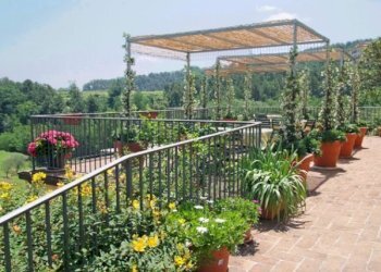 DSCF0797.jpg - Rustic Via dei Pieroni, Capannori - photo 7