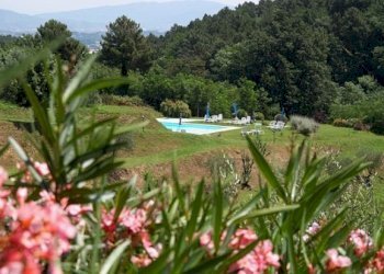 DSCF0806.jpg - Rustic Via dei Pieroni, Capannori - photo 12