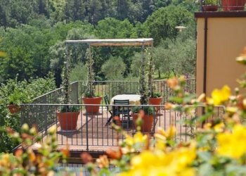 DSCF0818.jpg - Rustic Via dei Pieroni, Capannori - photo 14