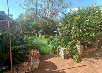 ca8.jpg - Villa Castelnuovo Magra - photo 8
