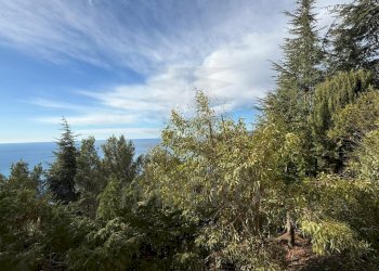 vista - Bilocale Via Alpe Summa 5, Ventimiglia - foto 22