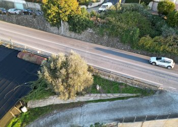 terreno - Terreno agricolo Via Generale Vincenzo Rossi 1, Bordighera - foto 6