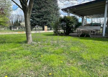 IMG-20251122-WA0045 (1).jpg - Villa Via Arginone Cornè RO, Arquà Polesine - foto 8