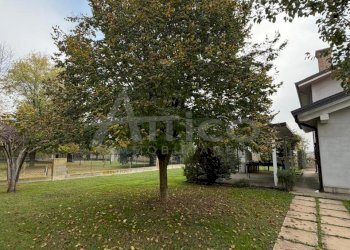 IMG-20251122-WA0054.jpg - Villa Via Arginone Cornè RO, Arquà Polesine - foto 10