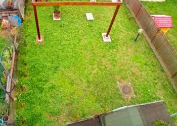 PHOTO-2025-11-27-11-57-21 (8).jpg - Casa indipendente Via Enrico Berlinguer, Bibbona - foto 15