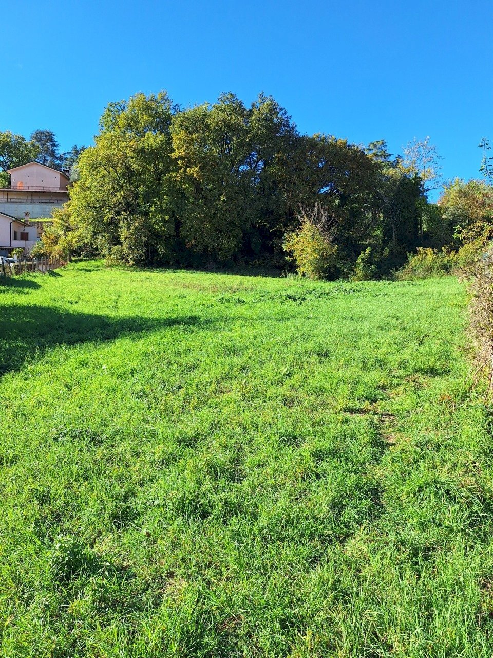 20251119_130236.jpg - Terreno edificabile Via dei gerani snc, Rignano Flaminio - foto 1