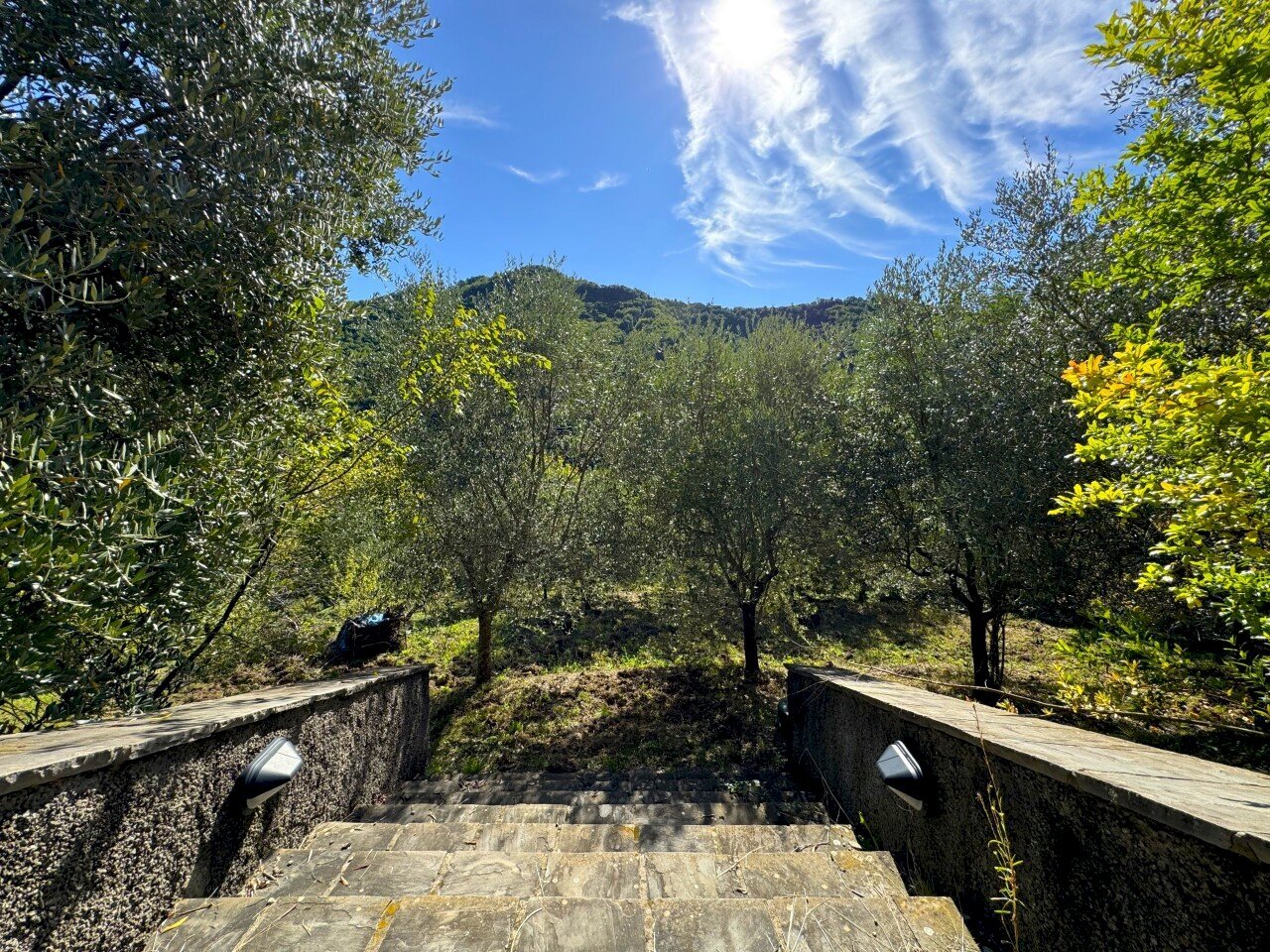 giardino - Villa Strada Vicinale di Gavigno, Cantagallo - photo 3