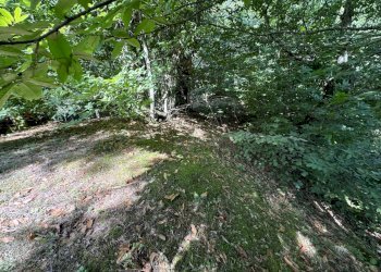 giardino - Villa Strada Vicinale di Gavigno, Cantagallo - foto 10