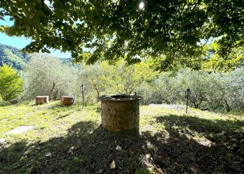 giardino - Villa Strada Vicinale di Gavigno, Cantagallo - foto 11