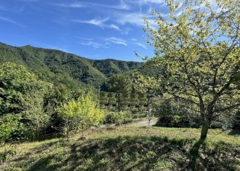 giardino - Villa Strada Vicinale di Gavigno, Cantagallo - foto 13