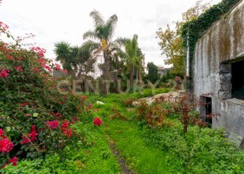 Via Nuova Acireale (21).jpeg - Casa indipendente Via Nuova 61, Acireale - foto 19