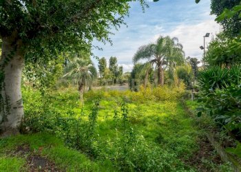 giardino.jpg - Appartamento Via Nuova 122, Acireale - foto 9