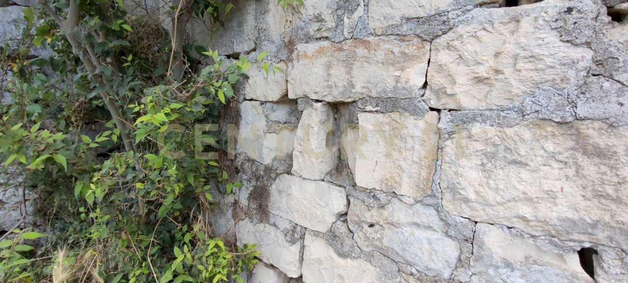 IMG_20250621_162730.jpg - Rustico SS115, km 323, Ragusa - foto 3