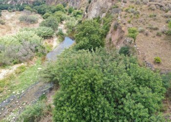 DJI_0769.JPG - Rustico SS115, km 323, Ragusa - foto 12