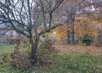 34938.jpg - Villa via del Borgo quaranta 161/A, Piancastagnaio - foto 25