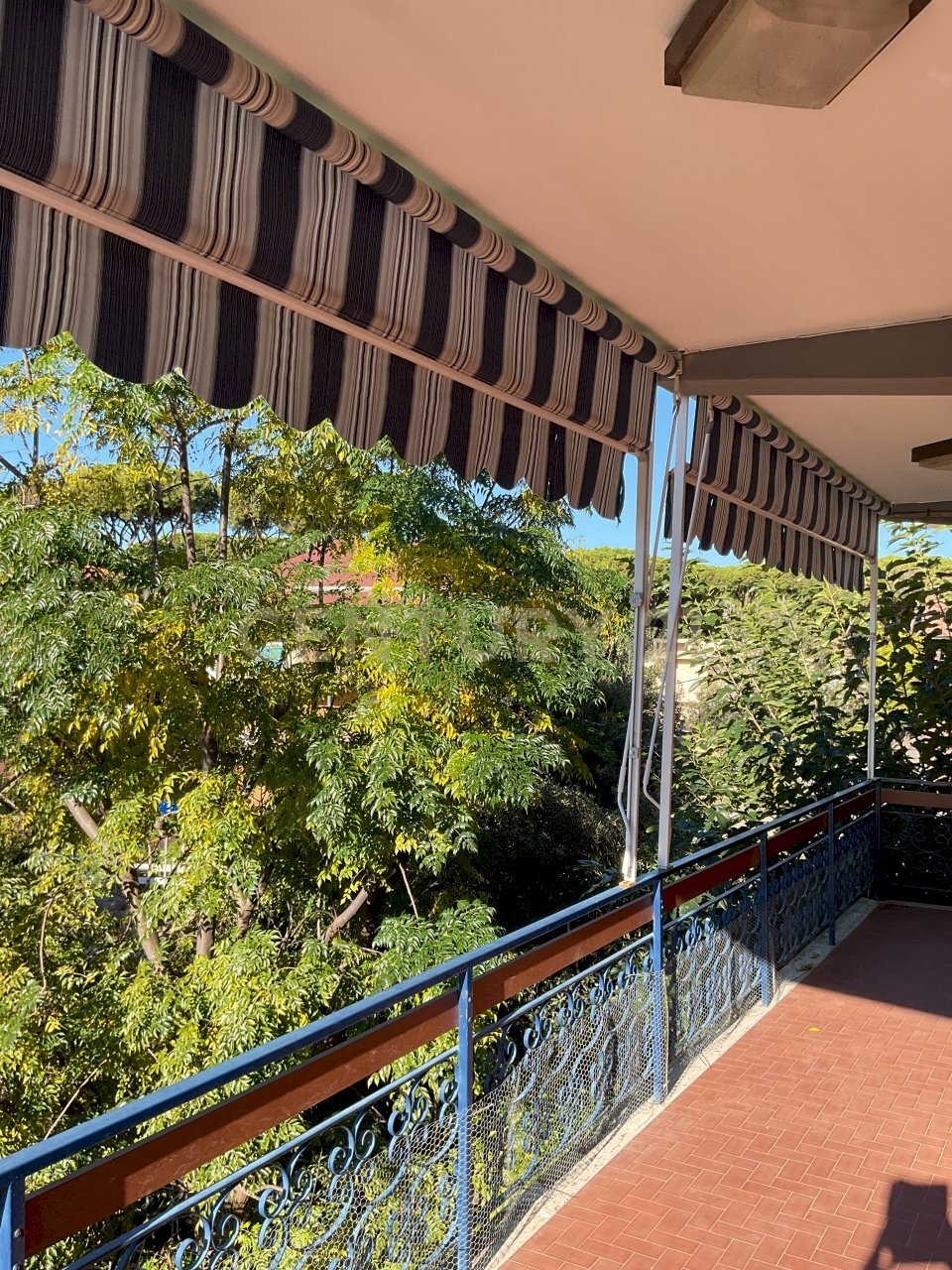 IMG_0270 2.JPG - Independent house Via Voltoncino 2, Grosseto - photo 2