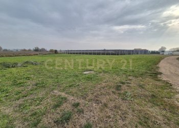 20251115_112430.jpg - Casa semi indipendente Via Sasse 9, Verona - foto 14