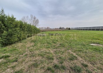 20251115_112431.jpg - Casa semi indipendente Via Sasse 9, Verona - foto 15