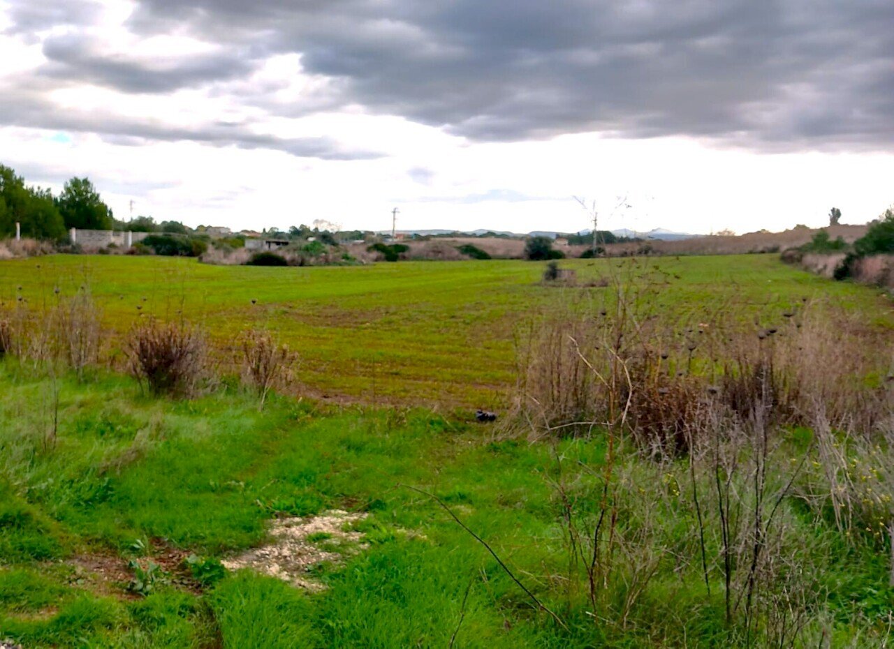 WhatsApp Image 2025-11-28 at 10.27.17 (2).jpeg - Terreno edificabile Sassari - foto 3